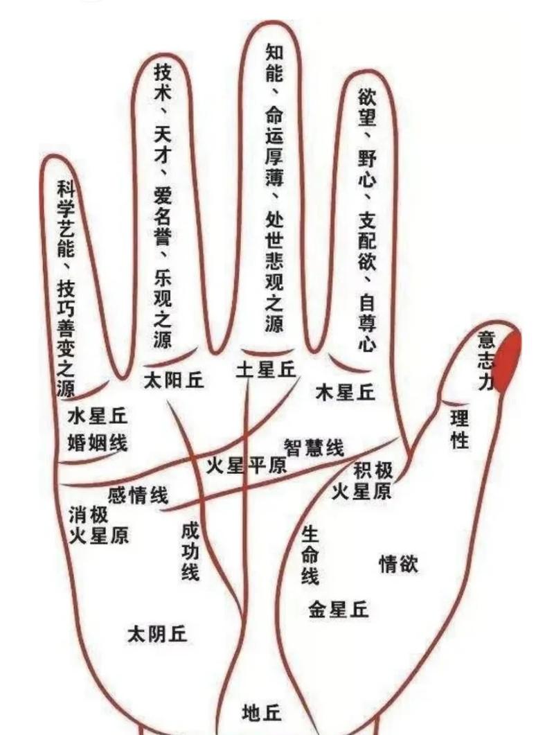 四道手纹的人命运如何？手纹真的能代表命运吗？