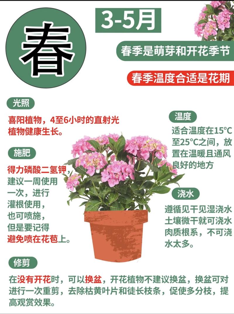 为什么别人养花都能成活，而我一养花就全死？这是怎么回事呢？