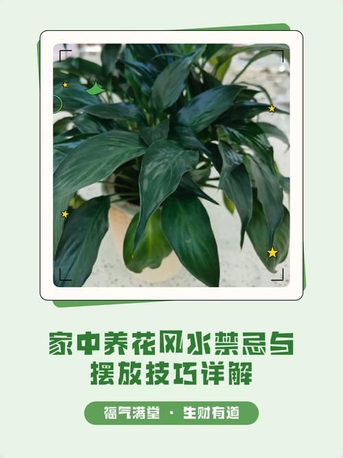 家里摆放鲜花对风水有影响吗？