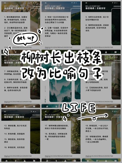 轻柳之命是什么命格？如何改写为长尾关键词？