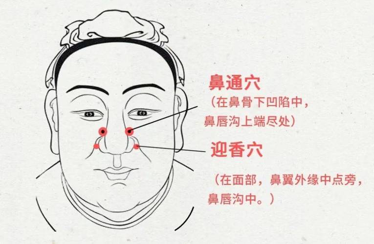 风水上鼻子部位可以随意移动或变动吗？