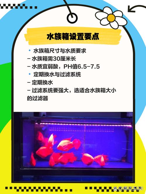 鹦鹉鱼作为风水鱼，该如何科学养护才能发挥其风水作用呢？