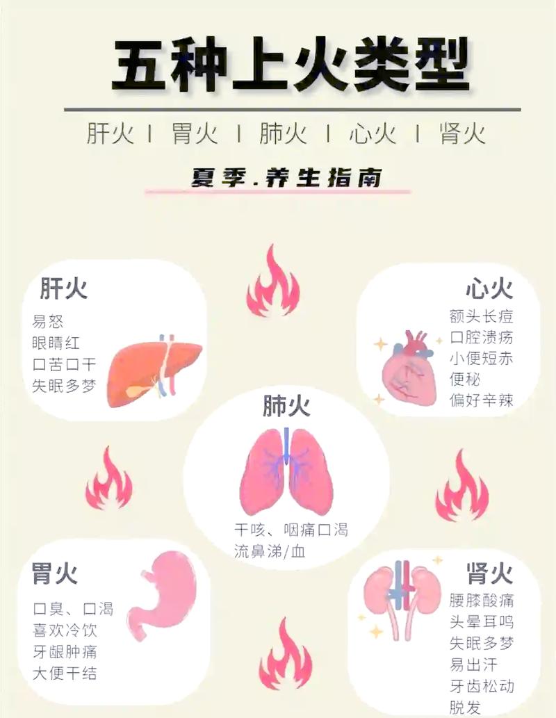 命火不足会导致哪些具体症状？