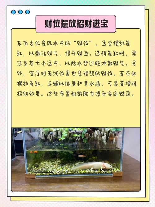 风水缸摆放有什么具体的风水要求吗？