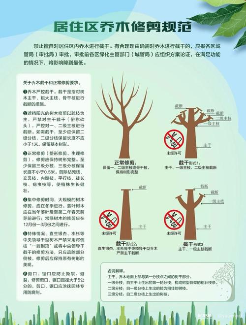 修剪树枝对住宅风水有何具体影响？