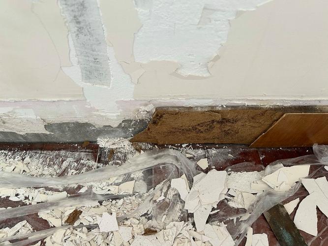 家里风水墙壁发霉，这样的环境还能安心居住吗？