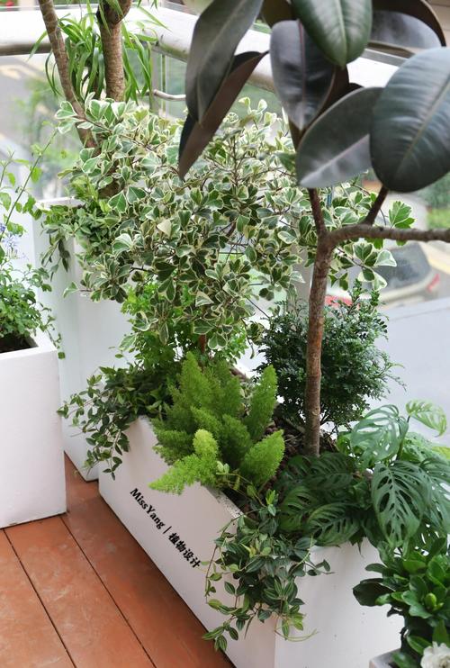 露台种草会对住宅风水产生怎样的影响呢？