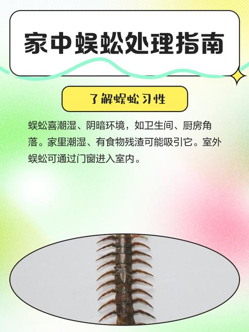 室内有蜈蚣是否触犯了风水禁忌，有什么讲究吗？