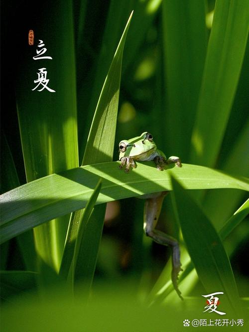 立夏这天进行风水勘察合适吗？
