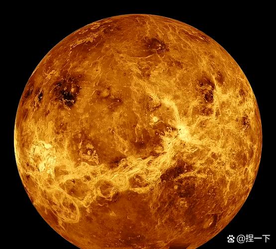 金星入命主星是什么？金星上面有生命吗？