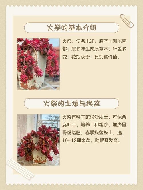 土命火命适合养什么花？什么命生火命如何为一个的？