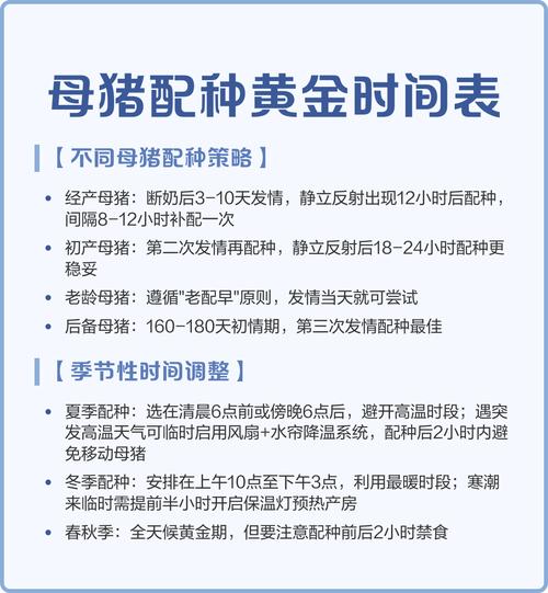 2020年出生的母猪是什么命？何时配种最为适宜？