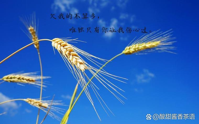 风水轮流转的男人，我这样的女生能嫁给他吗？