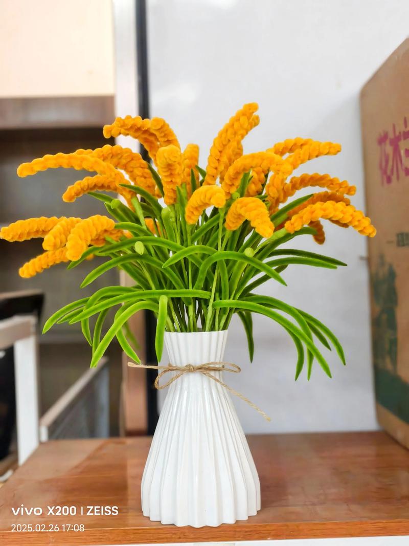 麦穗盆景对家居风水有怎样的影响或作用？