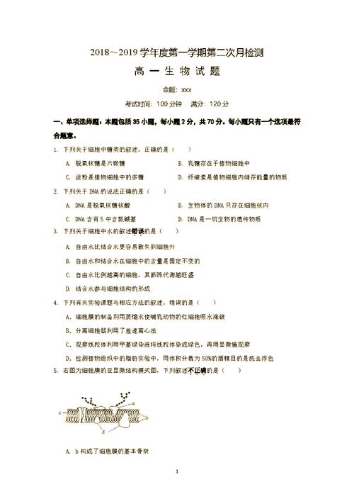 如何详细排版命制试卷的步骤？