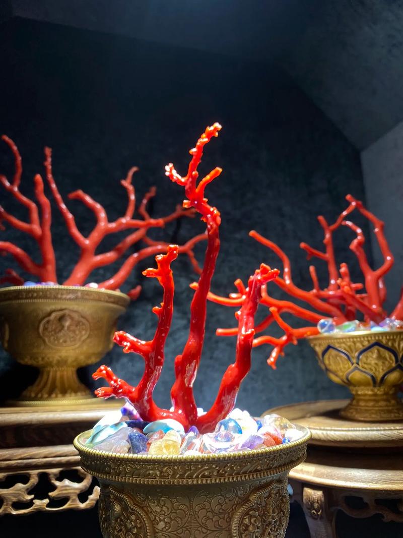 客厅摆放珊瑚风水如何，适合家居装饰吗？