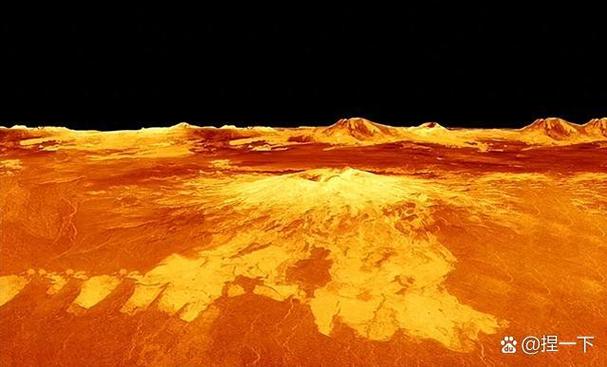 金星入命主星是什么？金星上面有生命吗？