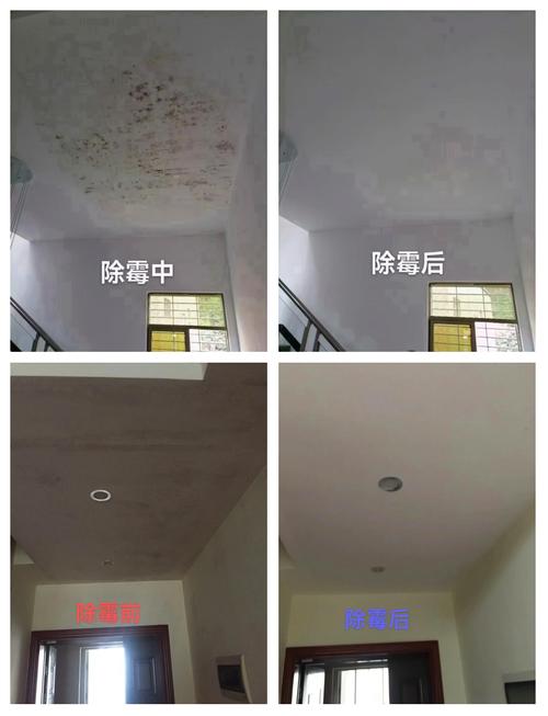 发霉房子对风水有何具体影响？