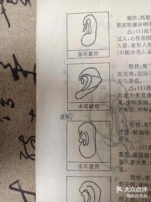 耳朵上部尖尖的面相，命运会如何？
