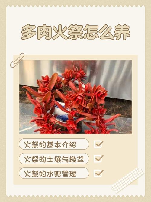 土命火命适合养什么花？什么命生火命如何改写为一个的？