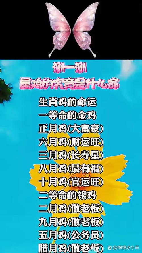 哪个生肖女命最好，五种鸡命中哪一种命最好？