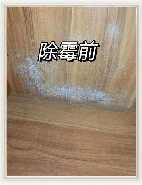 风水学中，木质家具或装饰品长时间放置是否会因潮湿而发霉？