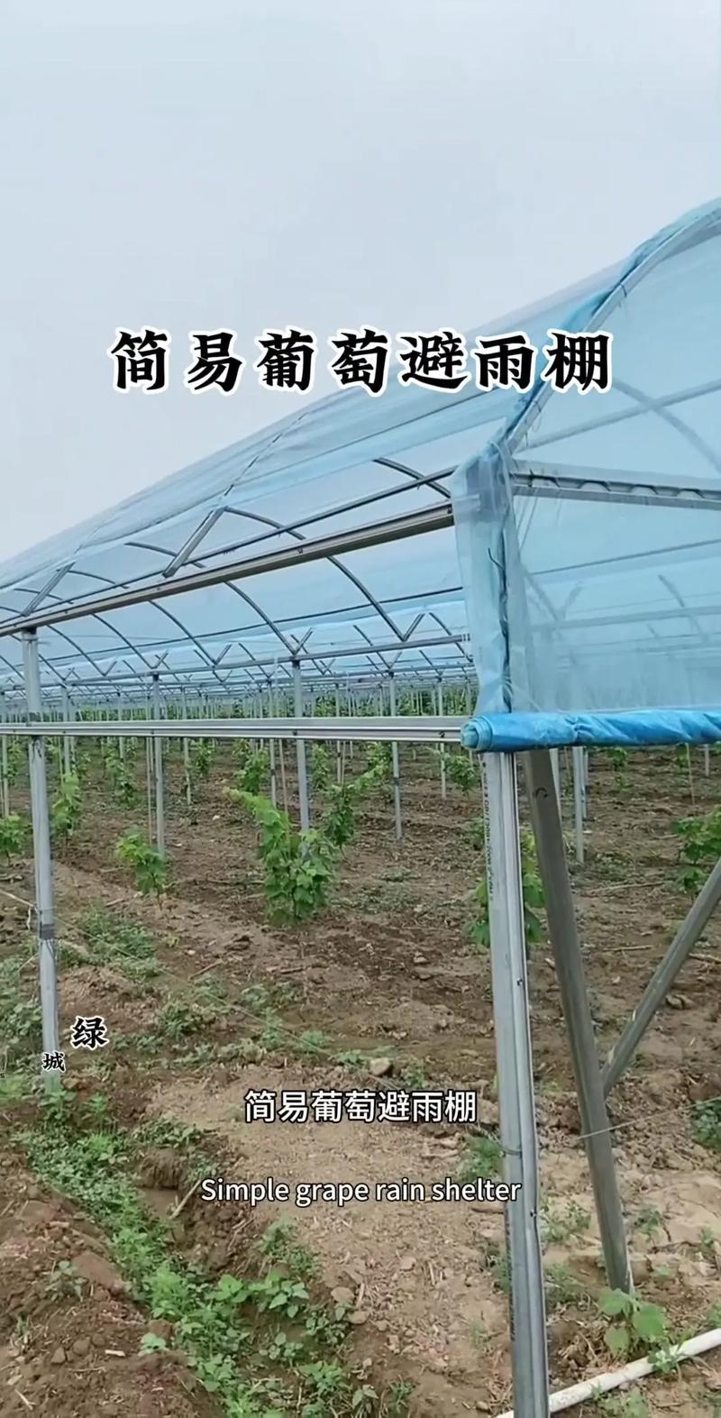 简易大棚搭建对周边风水环境有影响吗？