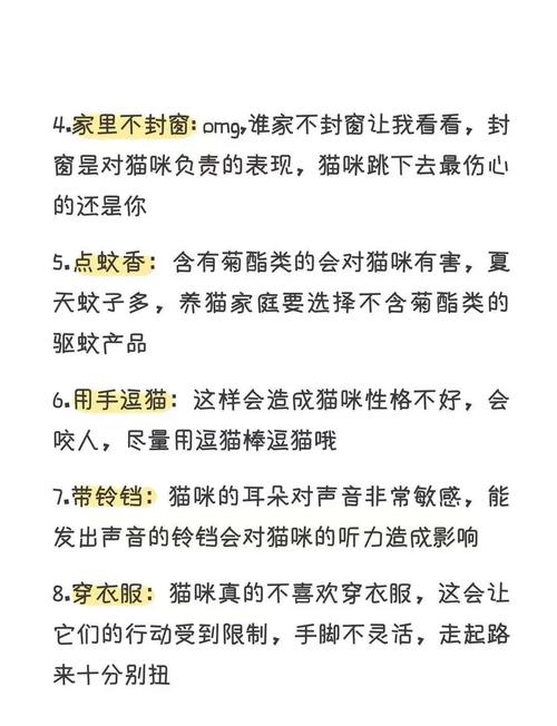 养猫需要考虑风水因素吗？这真的有依据吗？