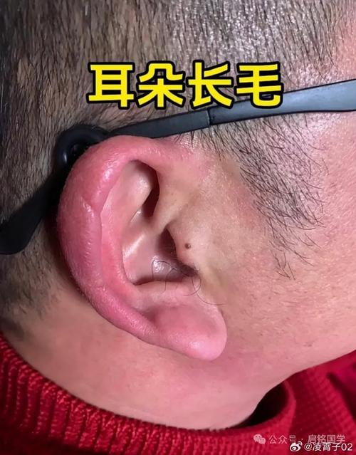 耳朵长毛预示什么命运，是好是坏？