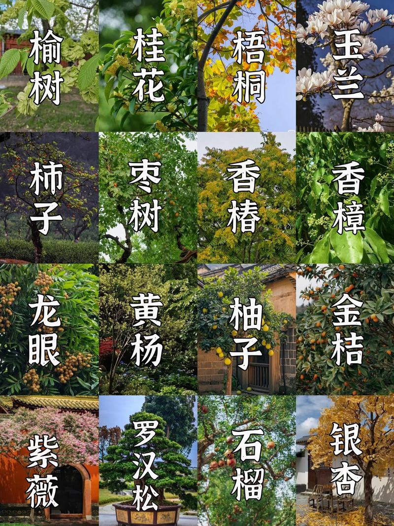 庭院适合种植花生吗？这样的风水布局是否吉利？