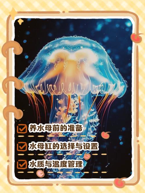 家里风水是否适宜养水母，有什么讲究和注意事项？