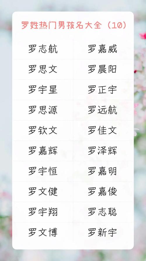 罗姓小孩取有内涵的名字，有没有什么好的建议或推荐？
