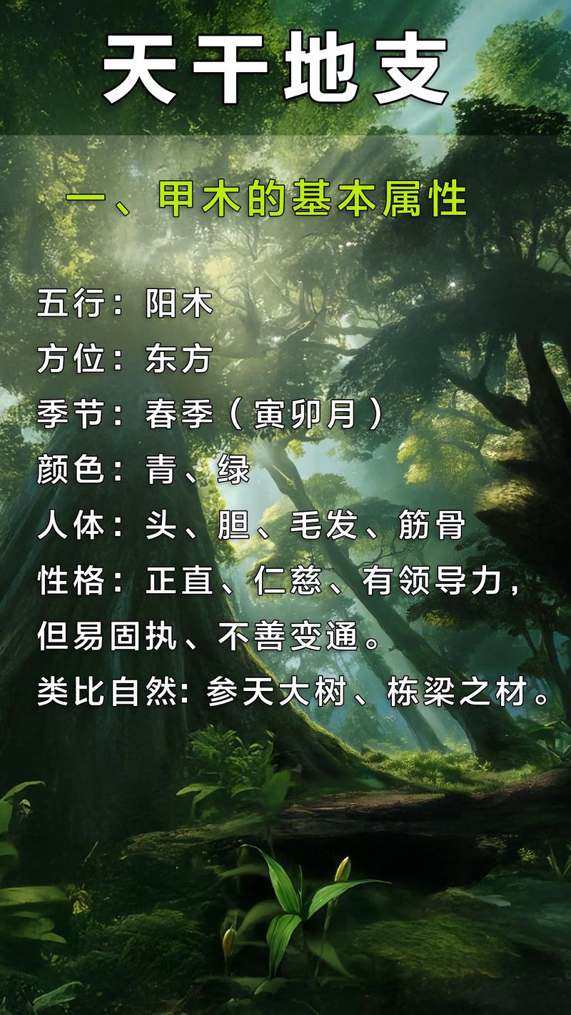 男命天干甲代表什么？甲木究竟属于哪种类型的木？