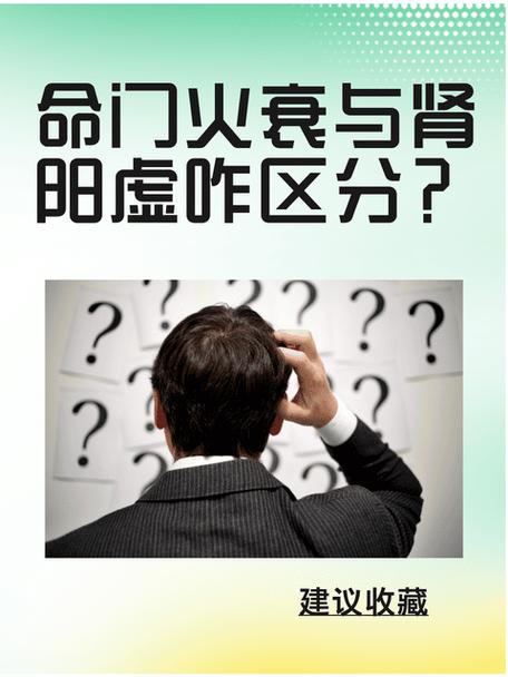 肾阳与命门火有何本质区别？