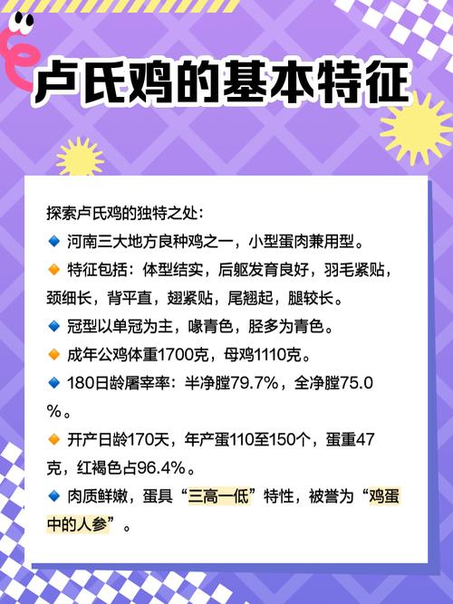 祠堂里养鸡真的能改善风水吗？