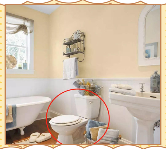 厕所摆放风水物品是否合适？