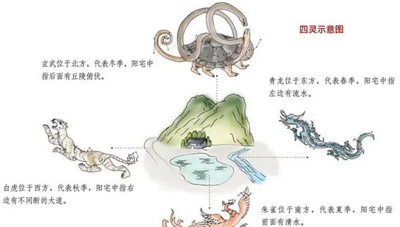 风水是否将动物和植物作为重要元素进行考量？