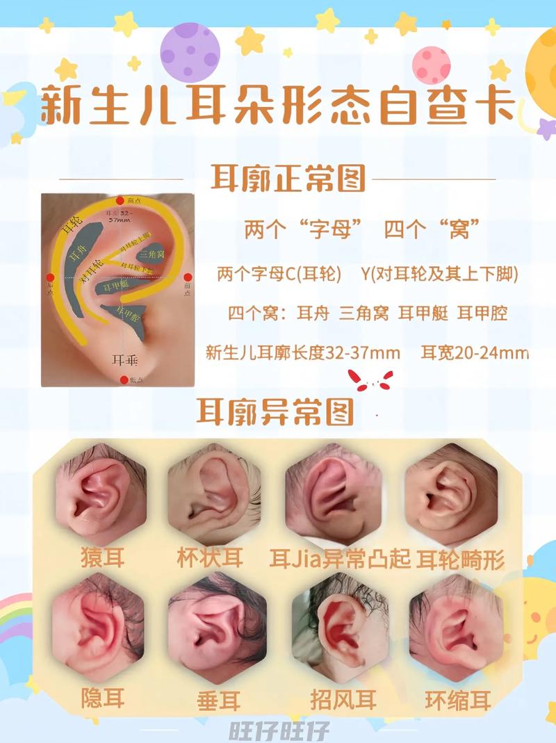 耳朵轮廓厚和两个耳朵不一样，是何命运之谜？