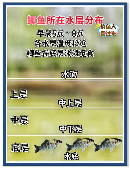 哪个命格最适合钓鱼，能吸引鱼类，在十大命格中排名最高？