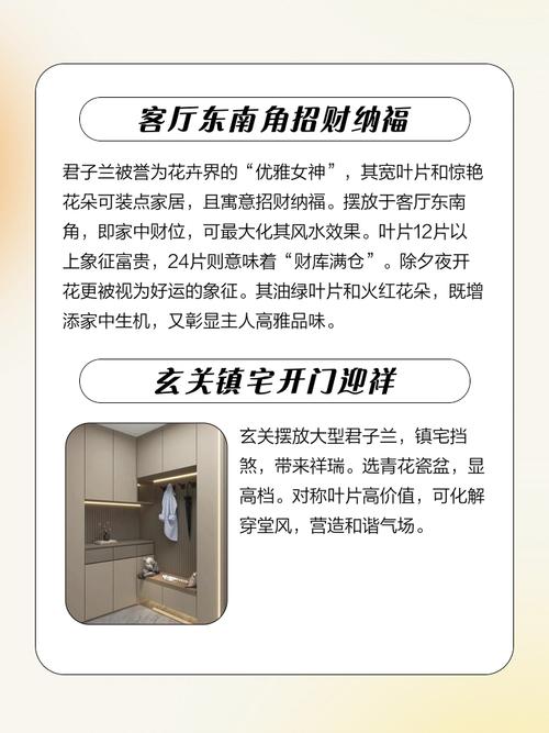 房间摆放兰花风水如何，适宜吗？