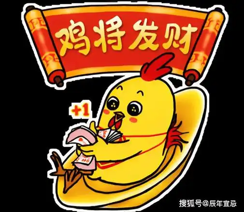 属鸡的人为何普遍寿命较短？鸡的平均寿命是几年到几年？