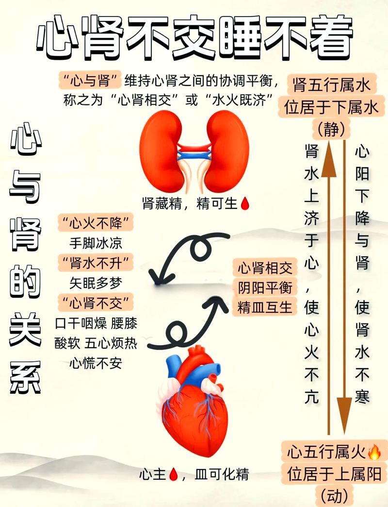 肾命和心命分别指肾脏和心脏的健康状态，心肾不足为：心肾不足会导致哪些健康问题？
