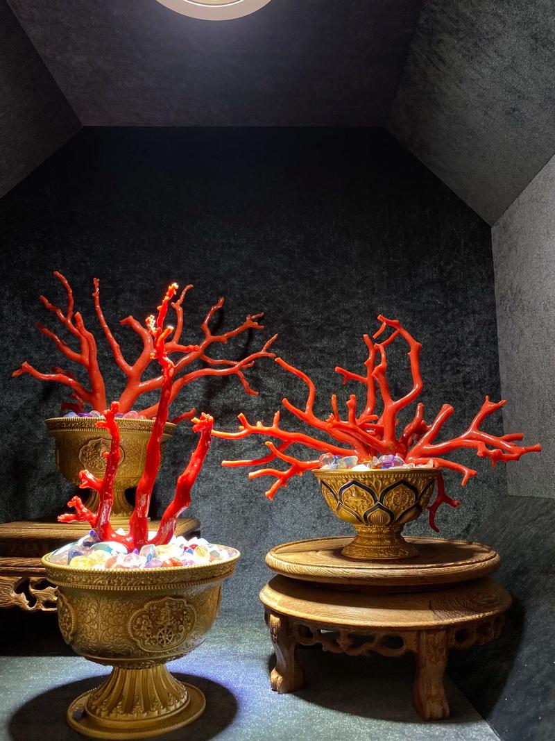 客厅摆放珊瑚风水如何，适合家居装饰吗？