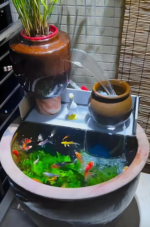 风水水槽里可以放置哪些物品或物品？