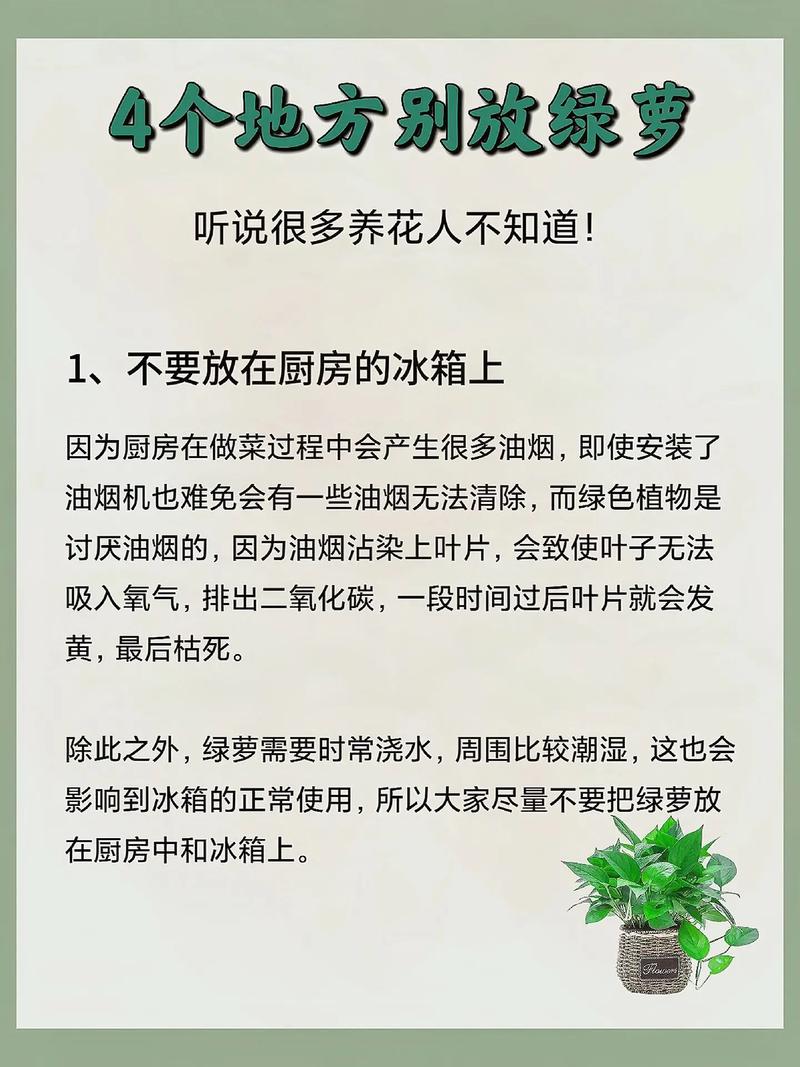 房间摆放绿萝对风水有不利影响吗？