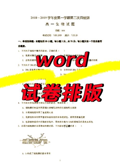 如何详细排版命制试卷的步骤？