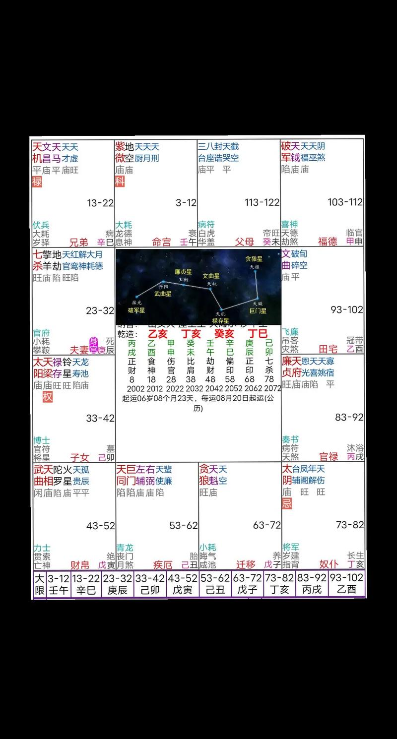 天相入命盘在紫微斗数中具体含义是什么？