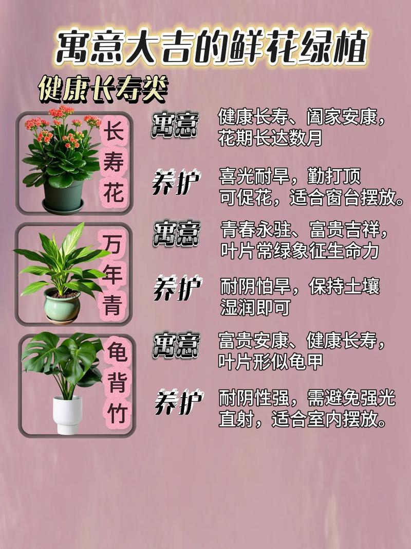 养花与家居风水之间到底有什么关联呢？