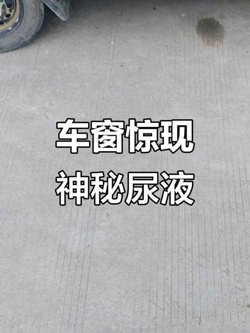 别人车上被尿了会影响风水吗？