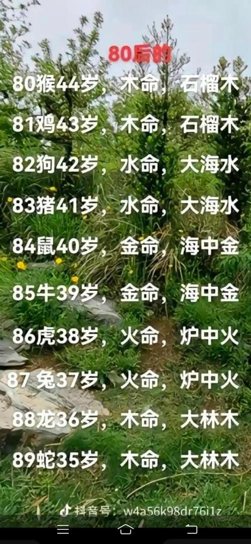 石榴木命的人与什么命相配？